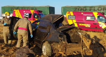 Motorista que dirigia carro roubado morre em acidente na GO-330, em Ipameri